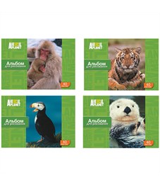 Альбом для рисования ACTION! ANIMAL PLANET, 40 л.